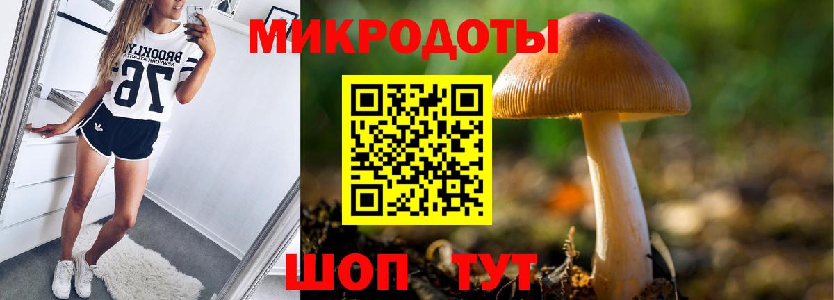 Псилоцибиновые грибы Magic Shrooms  Вход с VPN  Псилоцибиновые грибы Psilocybine cubensis  Чистополь 